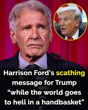 Harrison Ford Delivers Harsh Criticism of Donald Trump