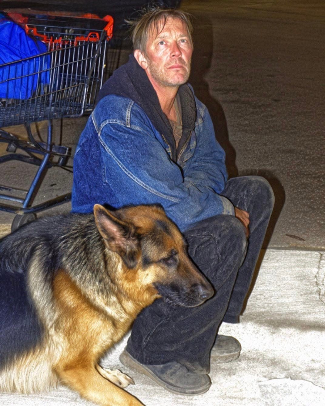 I Gave Food to a Hungry Veteran and His Dog – a Month Later, My Boss Dragged Me into His Office, Furious, and My Whole Life Flipped Upside